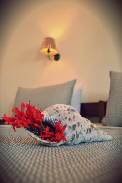 Apartament Anemologio Finikas  Pokój zdjęcie